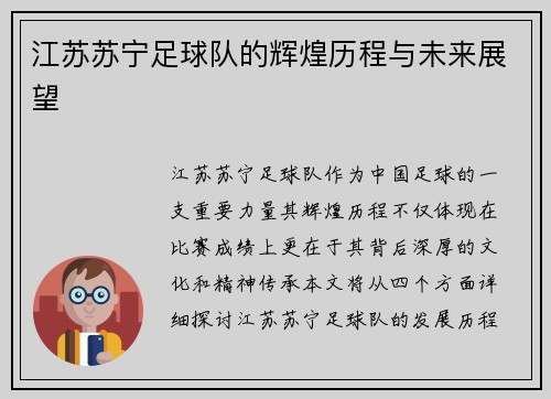 江苏苏宁足球队的辉煌历程与未来展望