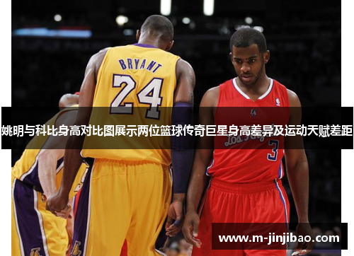 姚明与科比身高对比图展示两位篮球传奇巨星身高差异及运动天赋差距